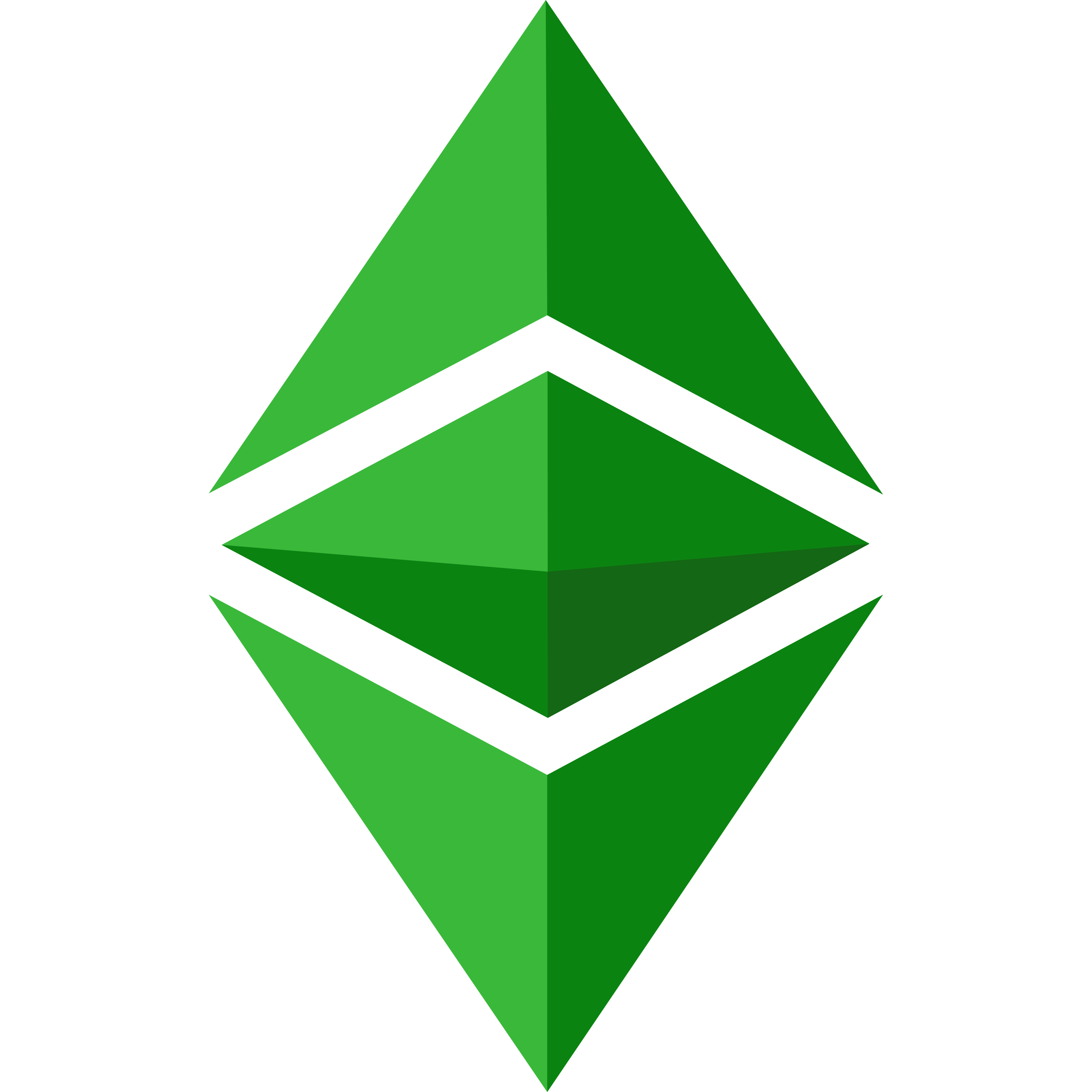 Ethereum Classic Logo